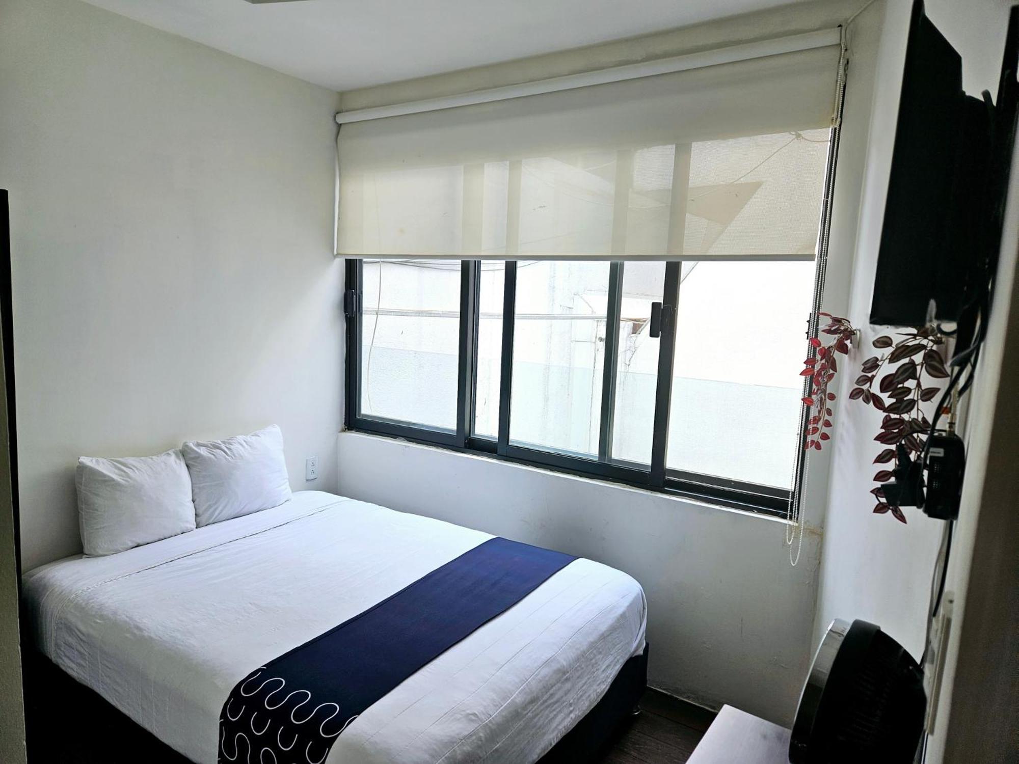 Singular Socrates Hotel Mexico City Ngoại thất bức ảnh