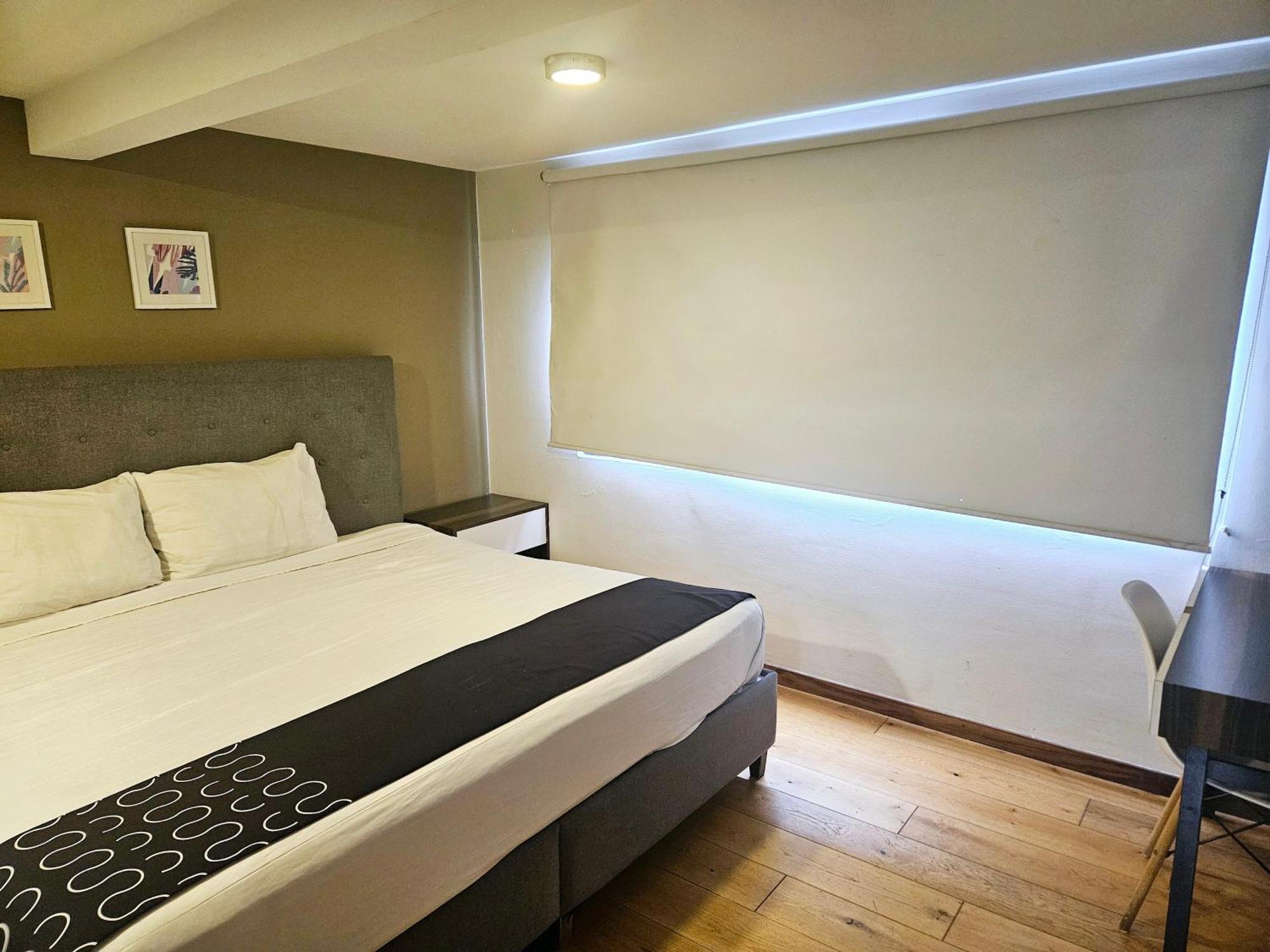 Singular Socrates Hotel Mexico City Ngoại thất bức ảnh