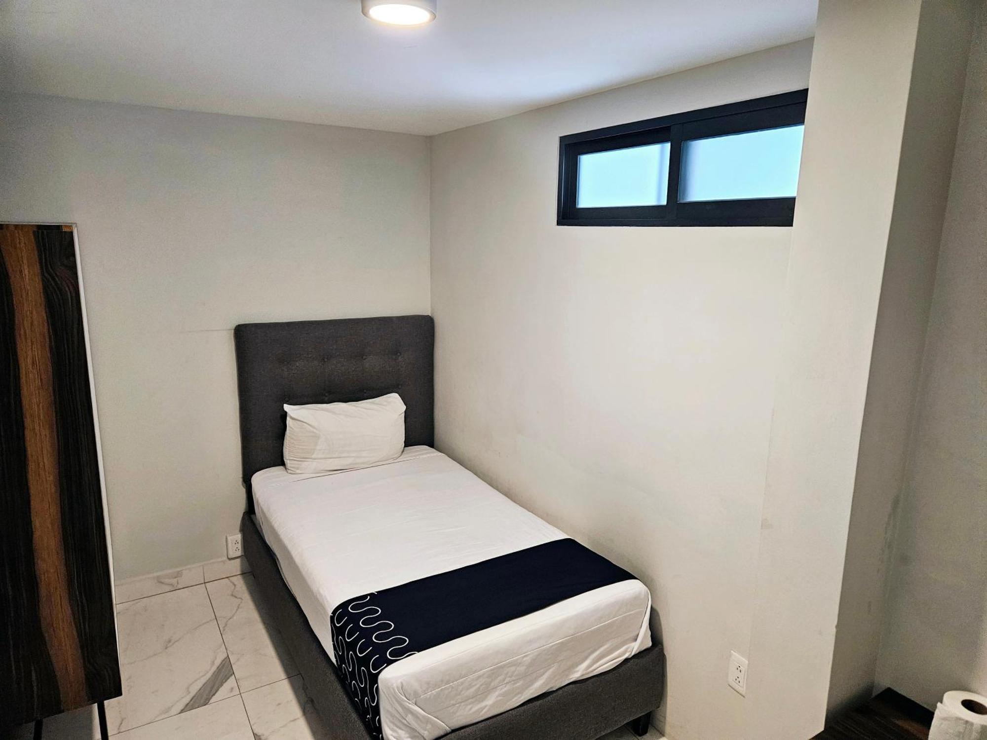 Singular Socrates Hotel Mexico City Ngoại thất bức ảnh