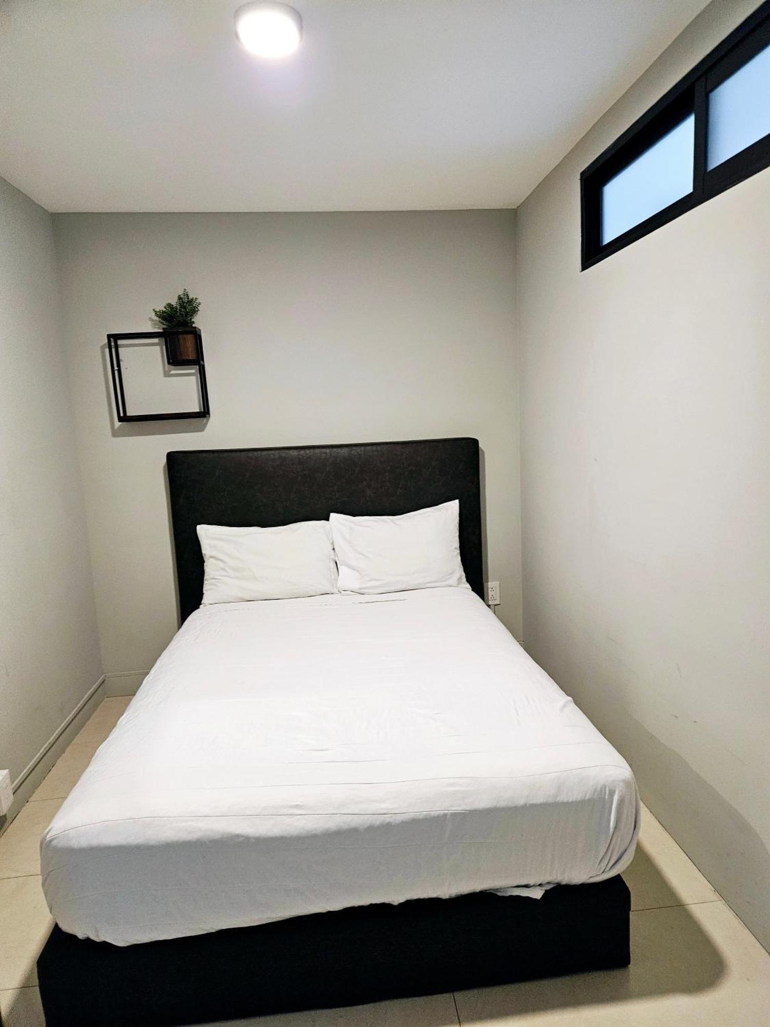 Singular Socrates Hotel Mexico City Ngoại thất bức ảnh